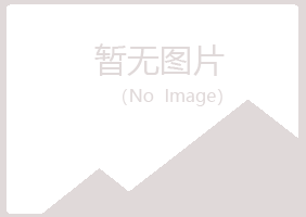 阳泉城冰夏出版有限公司